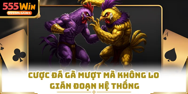 Cược đá gà mượt mà không lo gián đoạn hệ thống