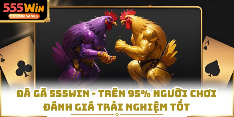 Đá Gà 555WIN - Trên 95% Người Chơi Đánh Giá Trải Nghiệm Tốt