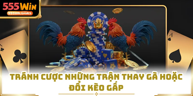 Tránh cược những trận thay gà hoặc đổi kèo gấp